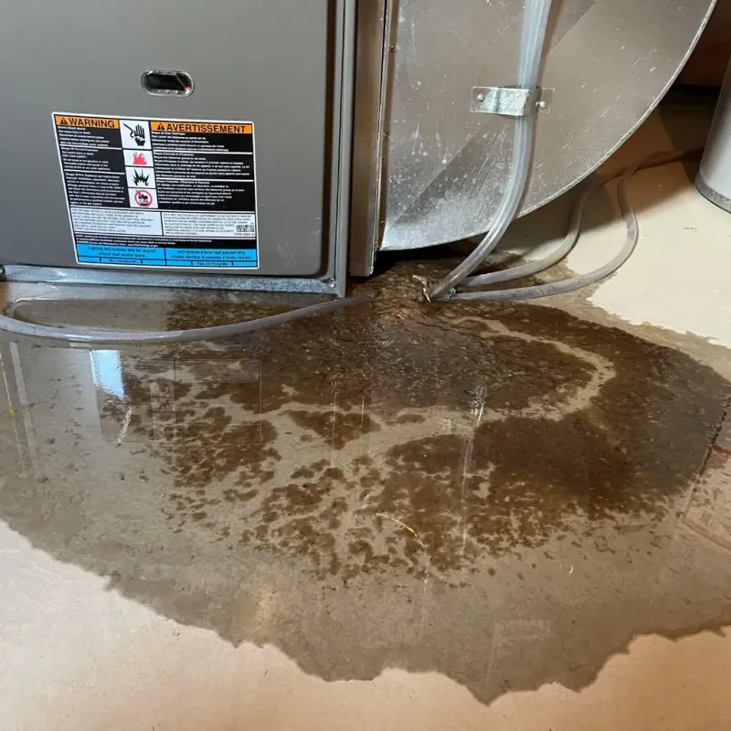 Appliance Leak Cleanup in Worthington, KY