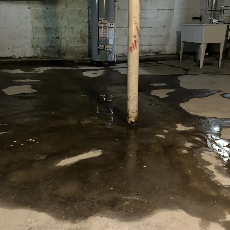 Emergency Water Extraction And Removal in Worthington, KY